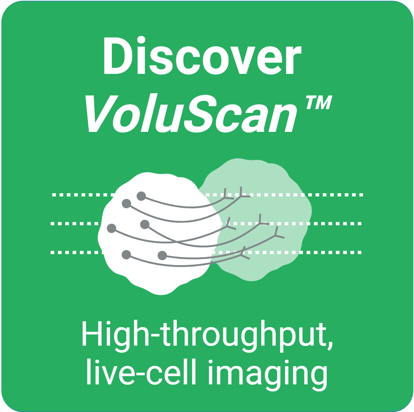 Discover Voluscan